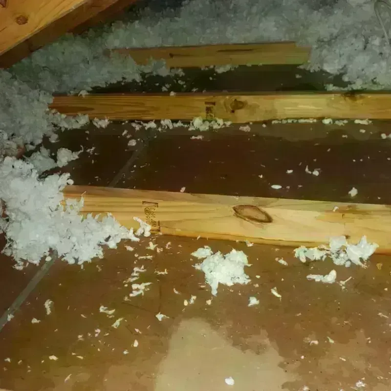 Attic Water Damage in Longview Heights, WA