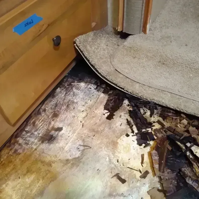 Best Wood Floor Water Damage Service in Longview Heights, WA